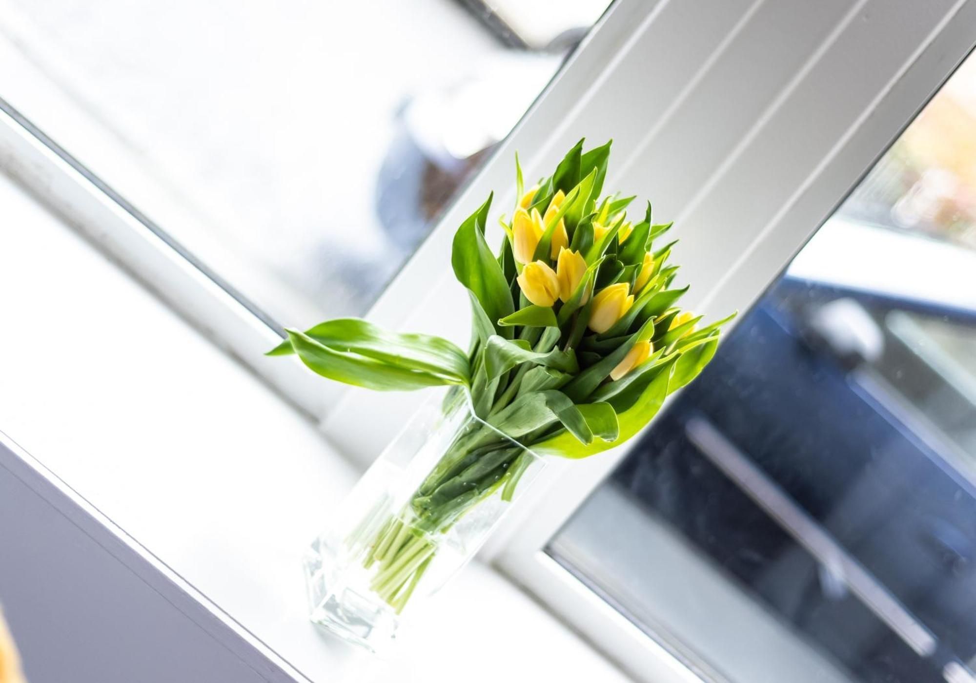 Albion Apartment By Klass Living Coatbridge Bagian luar foto