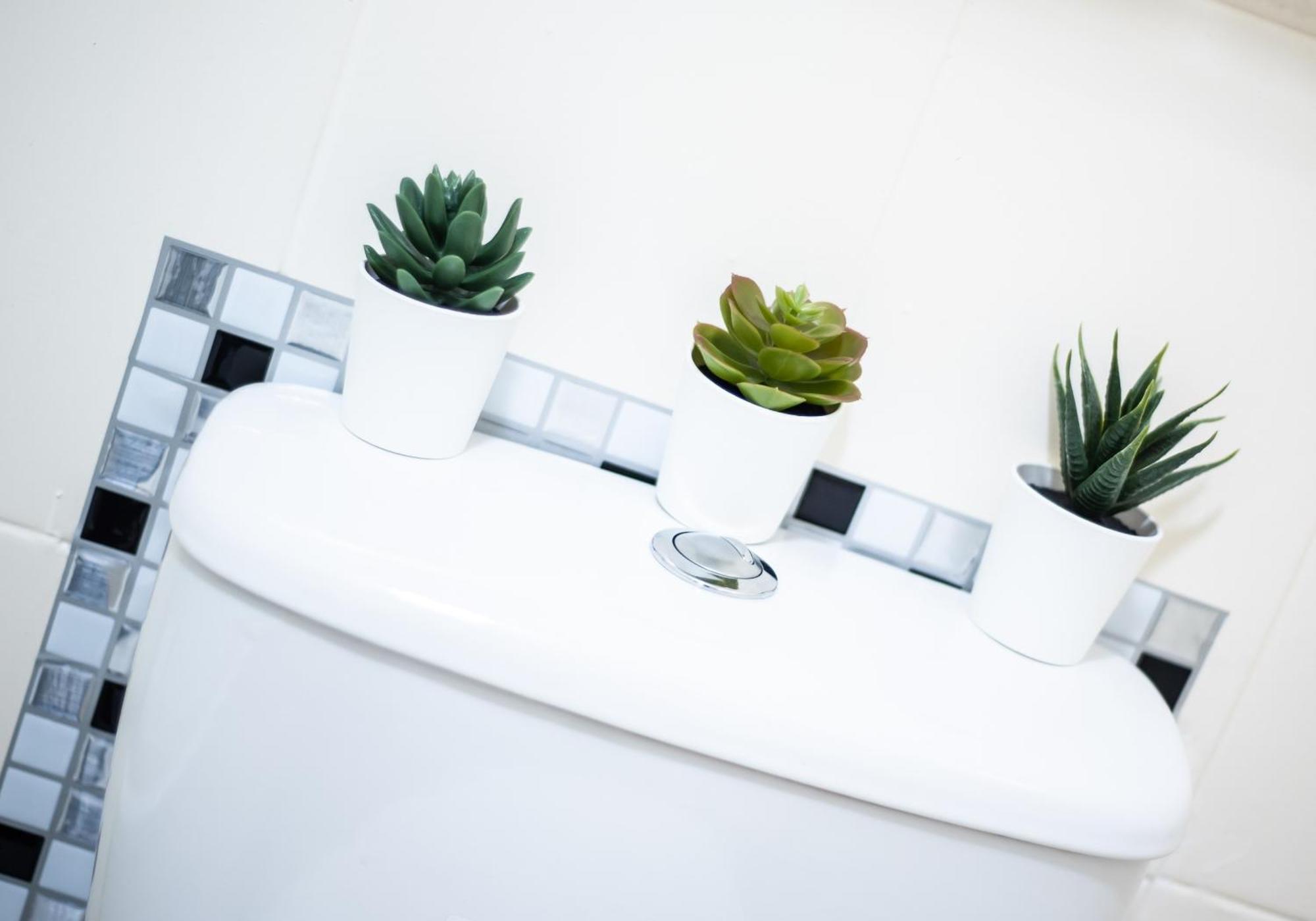 Albion Apartment By Klass Living Coatbridge Bagian luar foto